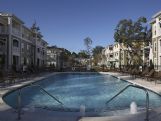 charleston apartments